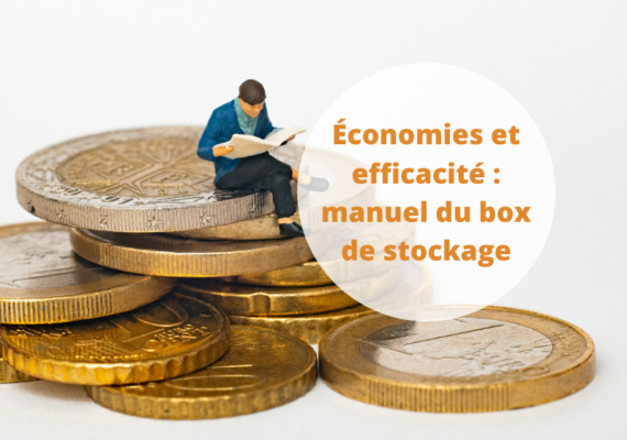 Économies et efficacité : le manuel du box de stockage